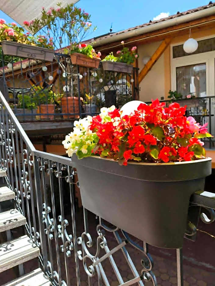 Hotel Isabell Győr