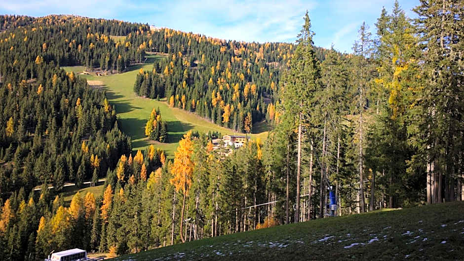 Alpine Hotel Gran Foda'