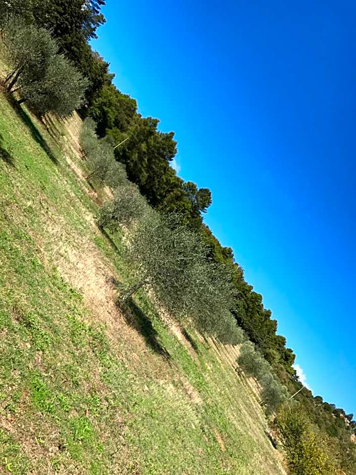 Azienda Agrituristica I Tre Casali