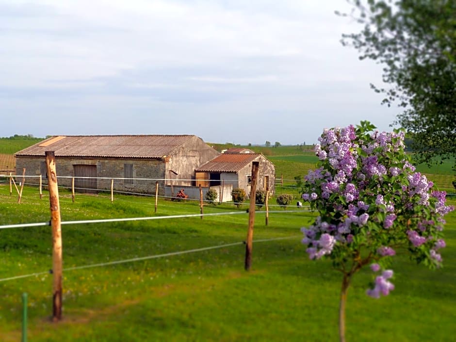 Chambres d'hôtes Le Cartounier