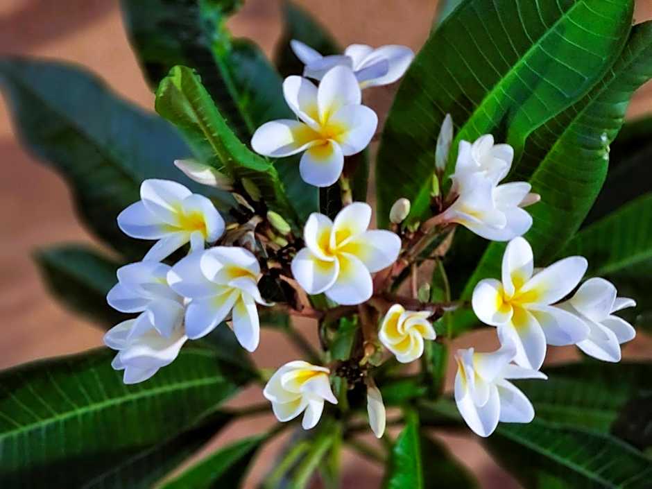 DAY N NIGHT INN - Near Universal Studios Hollywood