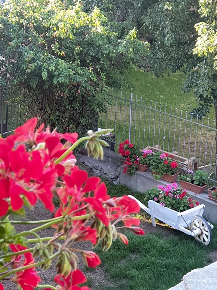 Antica casa occitana