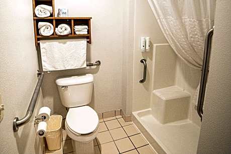 1 Queen Bed Suite Nonsmoking Accessible Upgrade