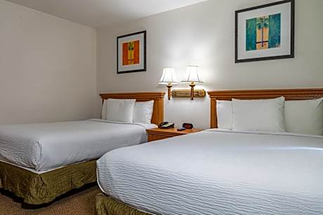 Mini Suite