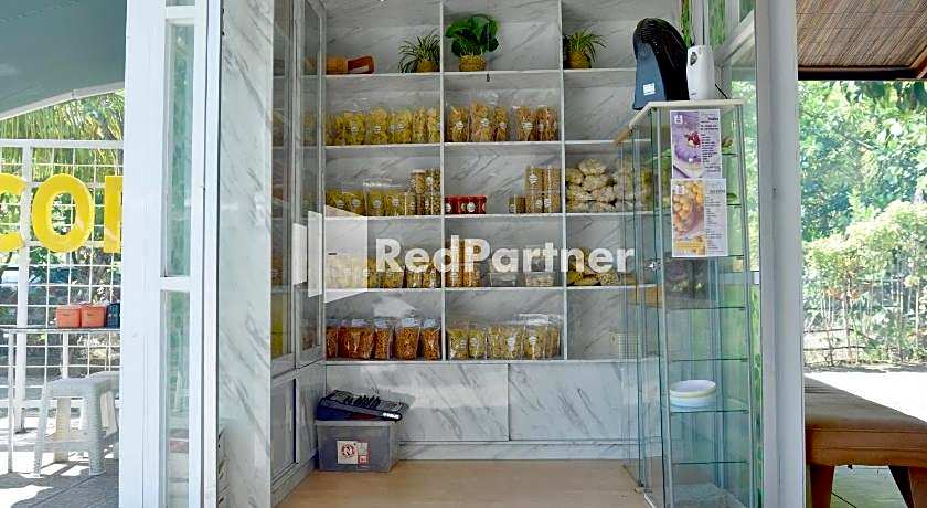 Pringgading Surf Camp Bengkulu Mitra RedDoorz