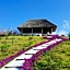 Jua Retreat Adults Only