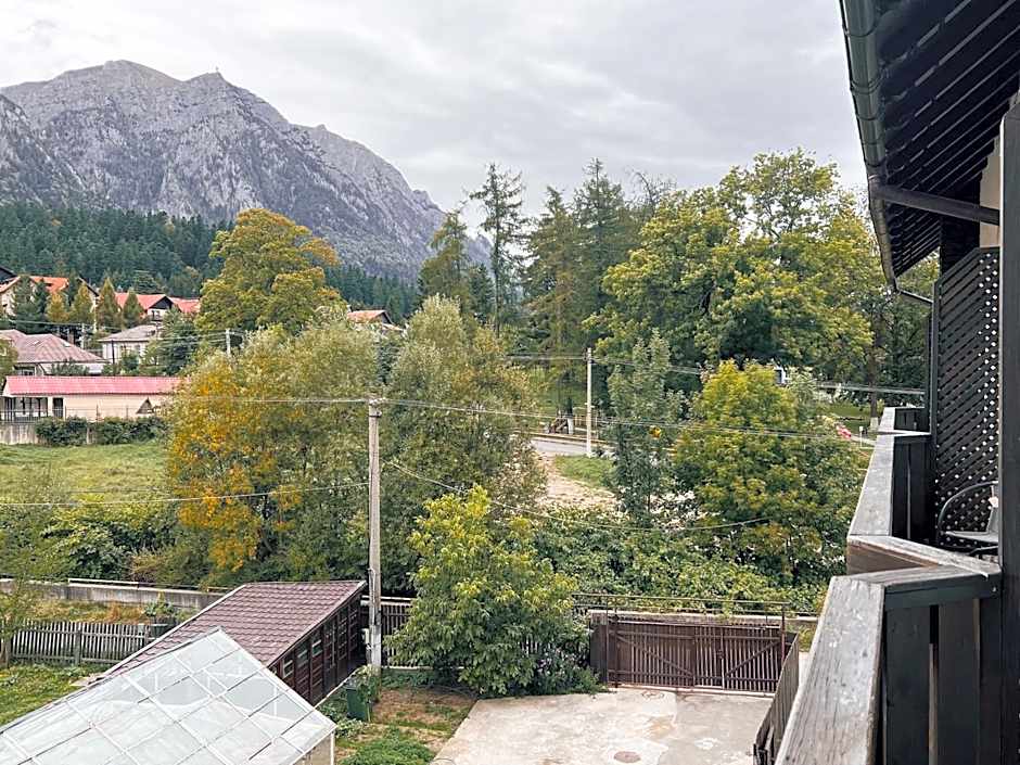 Suru Hotel & Restaurant