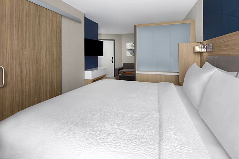 SpringHill Suites by Marriott East Rutherford Meadowlands Carlstadt