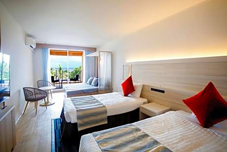 Deluxe Twin Room with Terrace 36㎡ - Main Building