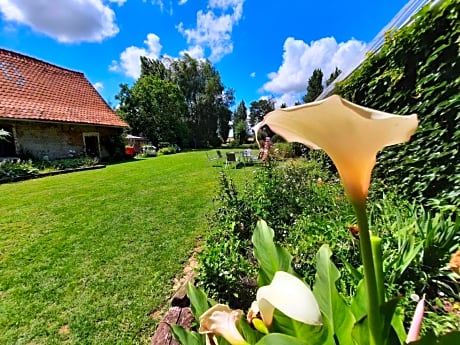La Flandre entre plaine, mer et marais
