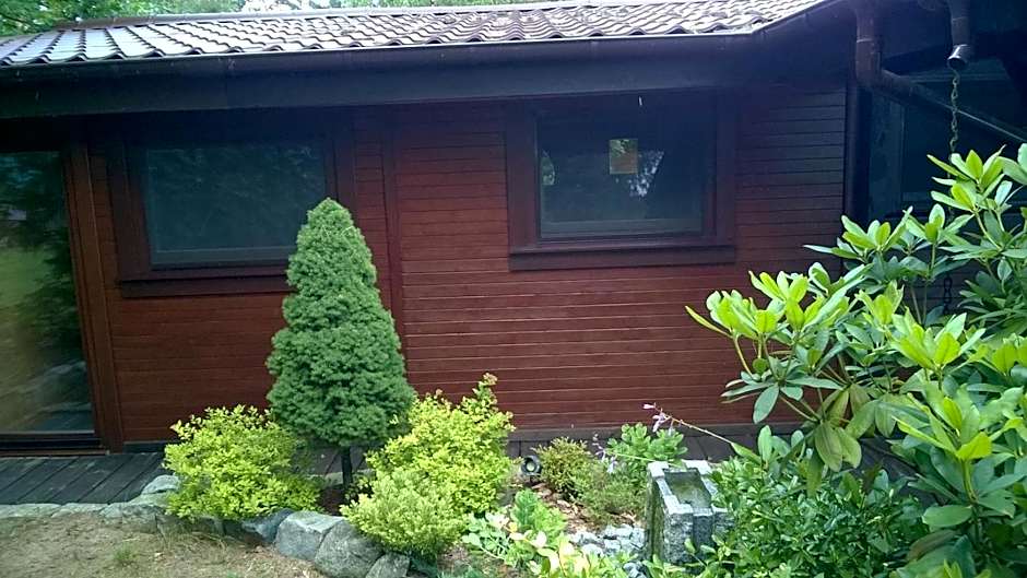 Bory Tucholskie Domek