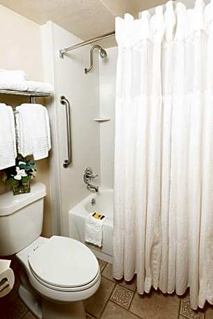 Suite-1 King Bed