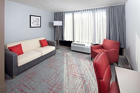 1 King Bed Presidential Suite Non - Smoking