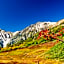 Hotel Hakuba Berg Hause