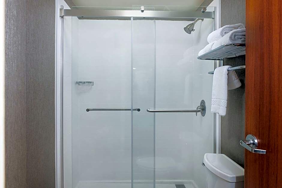 SpringHill Suites by Marriott Baton Rouge North/Airport