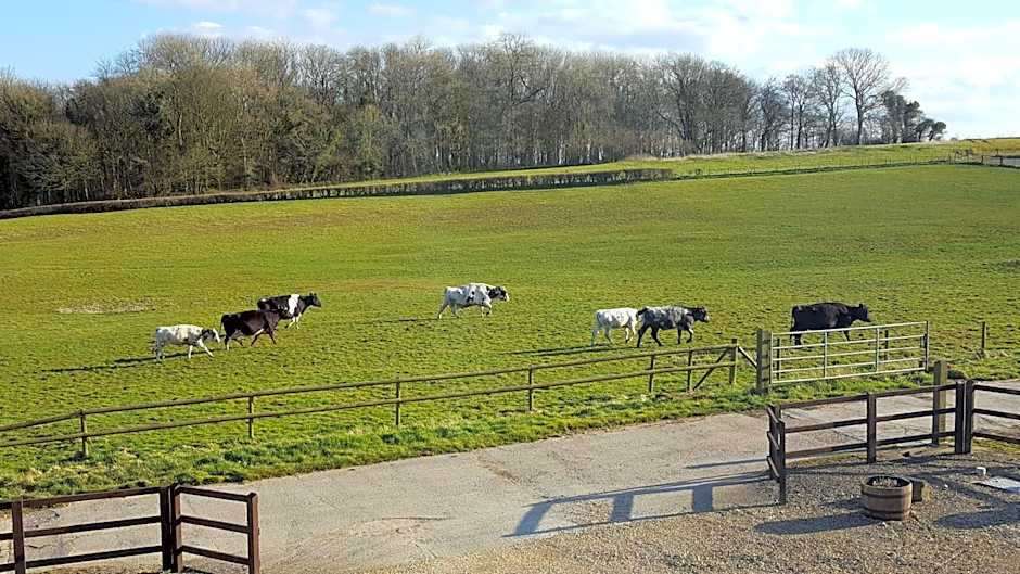 The Old Stables Bed & Breakfast
