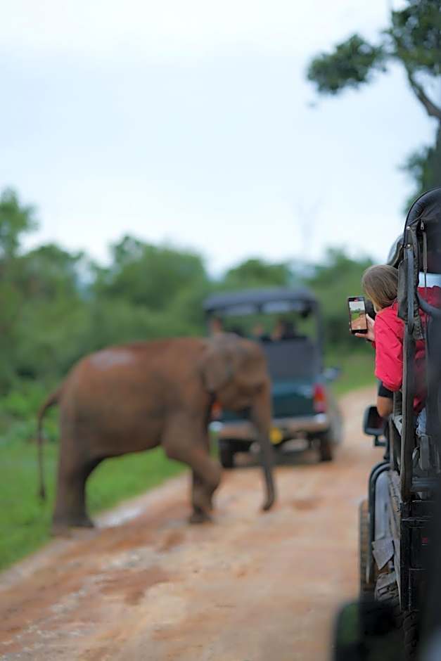 Athgira River Camping - Udawalawe