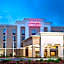 Hampton Inn By Hilton And Suites Savannah-Airport