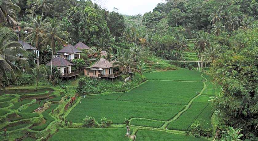 Tirta Sari