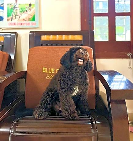 Blue Clouds Homestay