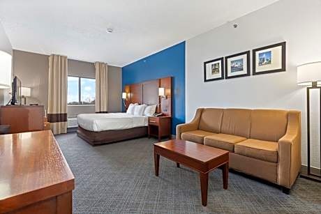 1 King Bed, Suite, Nonsmoking, Accessible