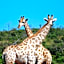 Morokolo Safari Lodge Self-catering