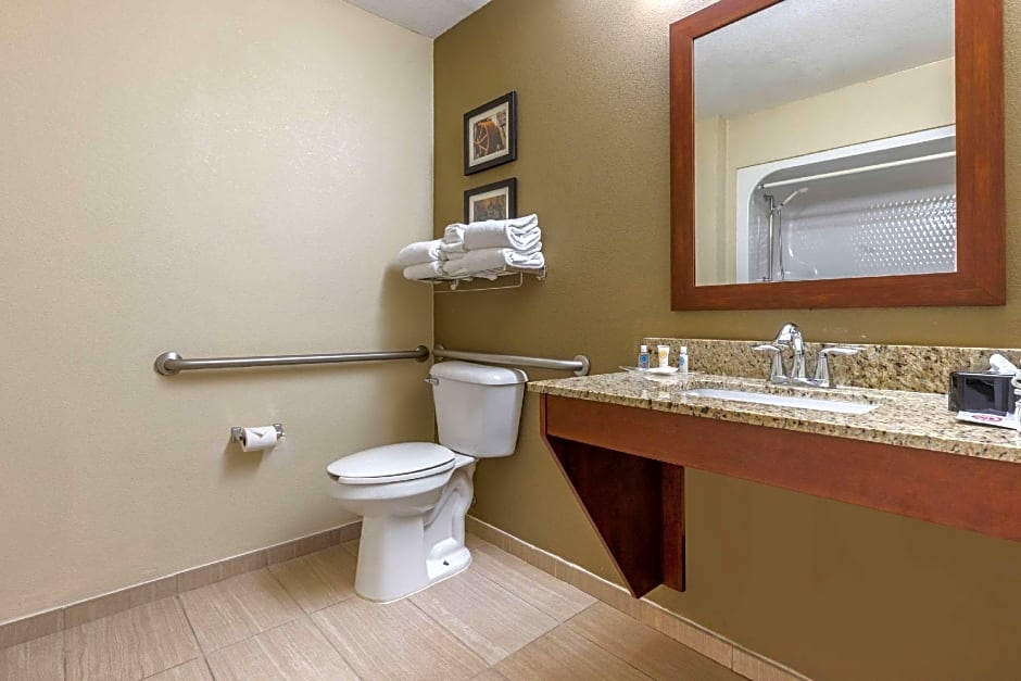 Comfort Suites Johnson City near University