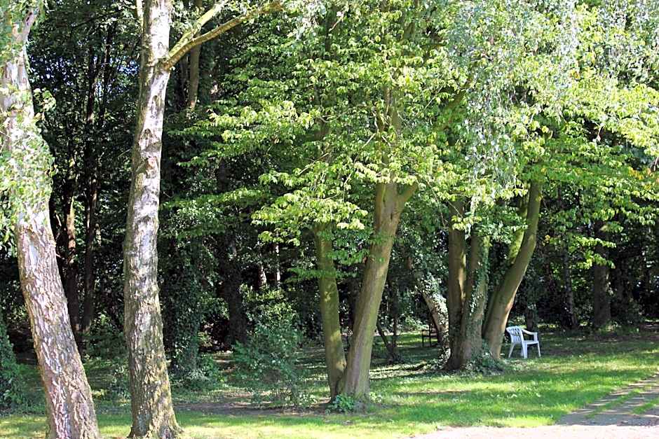 Hotel Pension Haus Stork