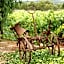Agroturismo Sa Vinya d'en Palerm
