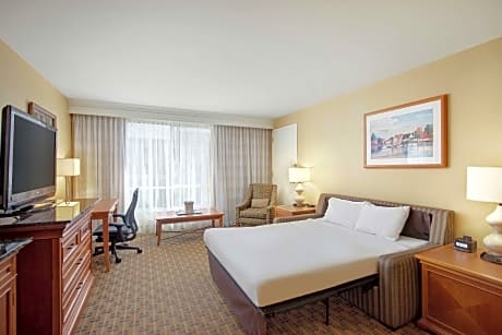 1 King Bed Junior Suite