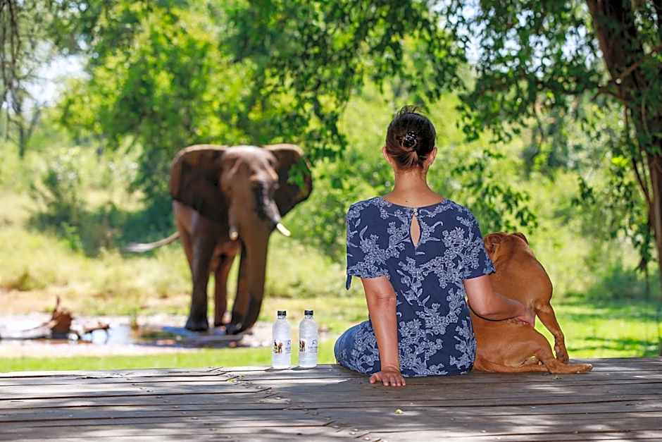 Sable Creek Safari Lodge