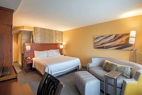King Room with Sofa Bed and Roll-in Shower - Mobility and Hearing Accessible