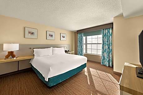 1Kg Dxl Ste/Hear Acc/Shw