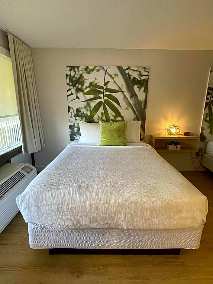 Newly renovated room in cozy hotel near Disney 2