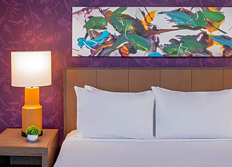 King Studio Suite with Kitchen and Sofa Bed