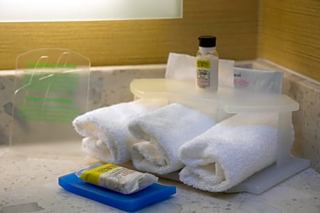 2 Queen Standard Mobility Accessible Tub