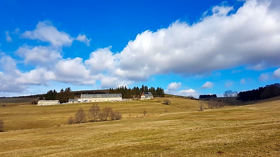Horizon Aubrac Laguiole