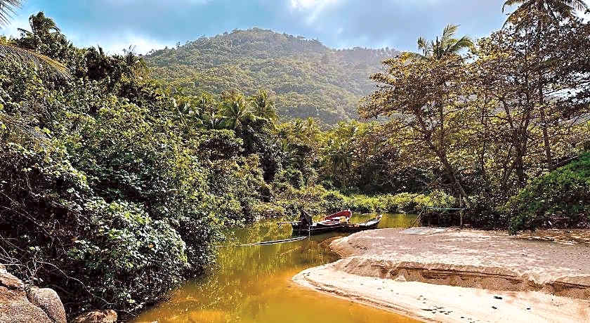 Dreamville Koh Phangan.