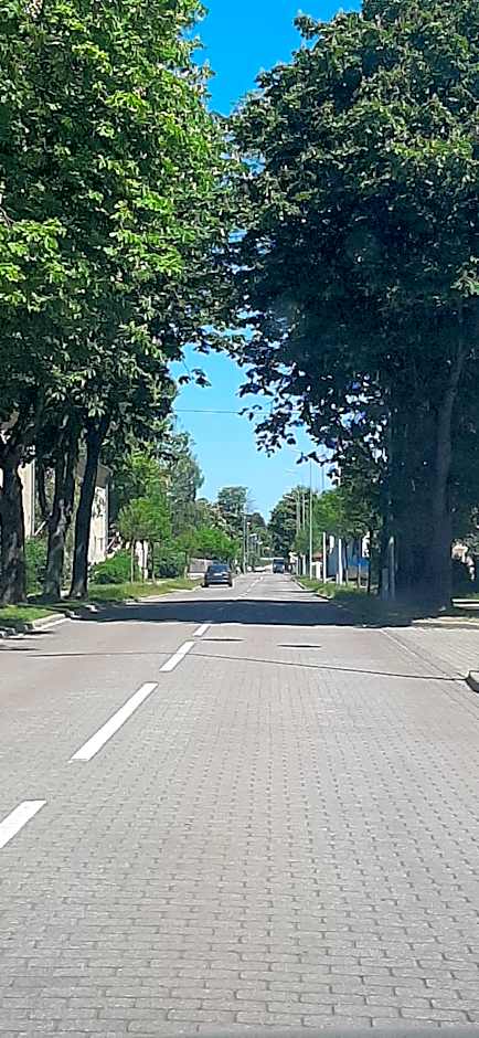 Jūras Vilks