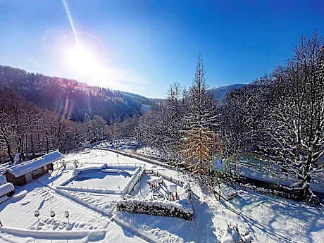 Double Room with Balcony (3 Adults)