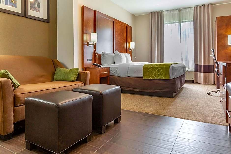Comfort Suites Dover University Area