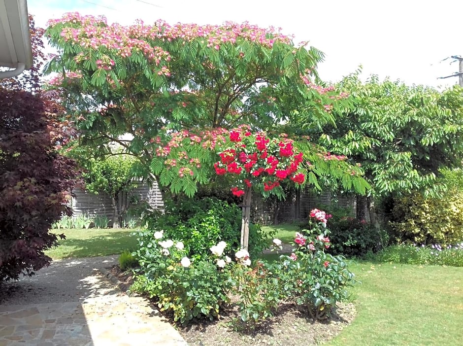 Chambres d'Hôtes Le Mûrier