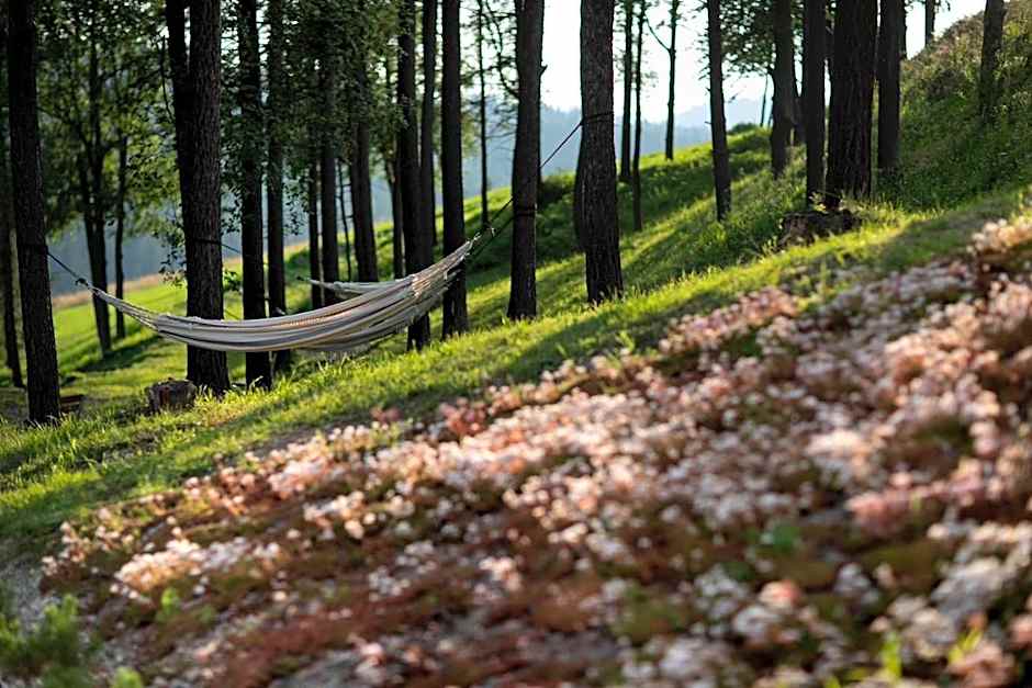 Hotel HARNAŚ dla dorosłych z widokiem na Tatry - Adults only