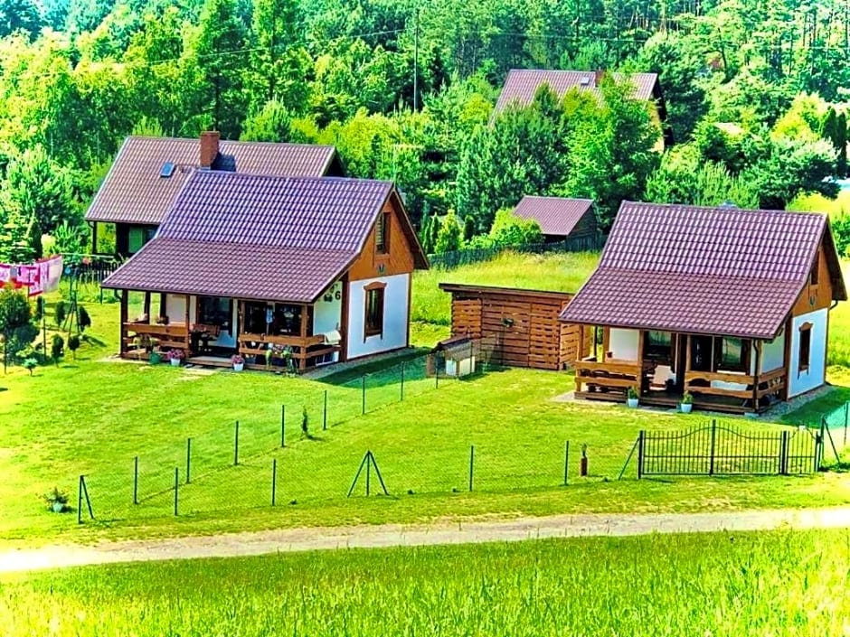 Domek Eden 1 Kaszuby balia sauna alpaki mini zoo