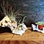 Goyah-so Guesthouse