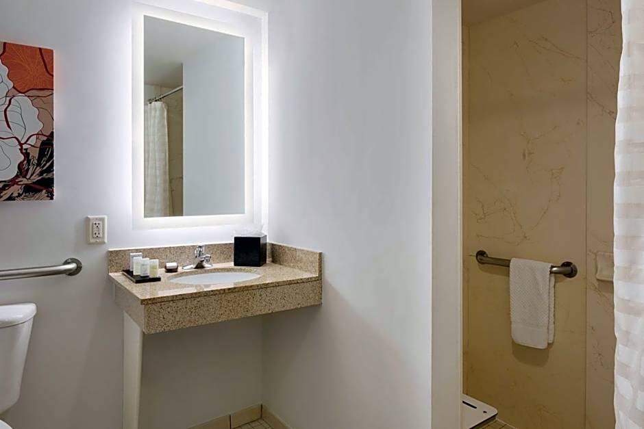 Embassy Suites By Hilton Hotel Denver - International Airport