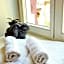 Hotel Jugend with Self Check-in