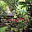 Roots Tree House