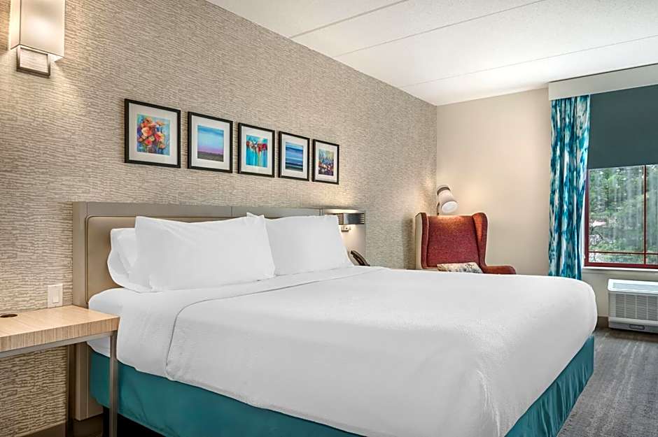 Hilton Garden Inn Wisconsin Dells