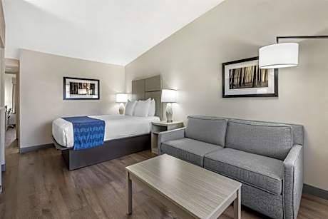Queen Room with Sofa Bed - Pet-Friendly